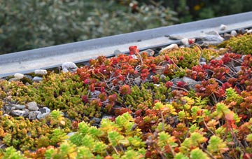 the cost of Cradoc green roof installation